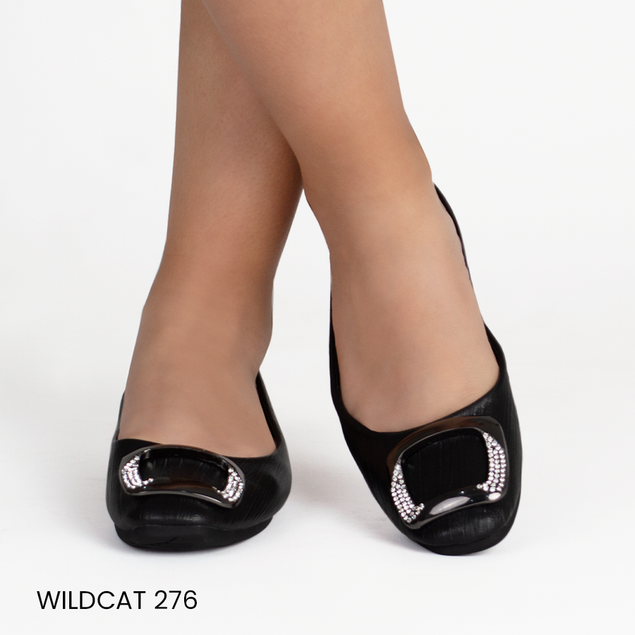 WILCAT 276