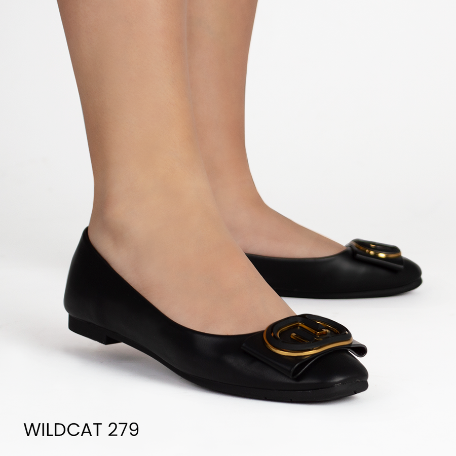 WILCAT 279